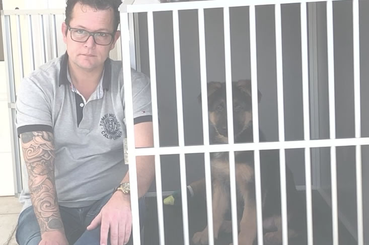 Hond in bench zielig