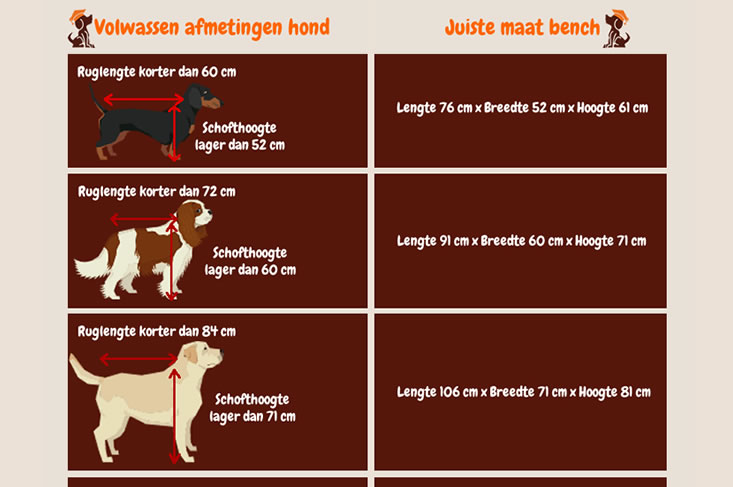 Welke bench maat voor welke hond
