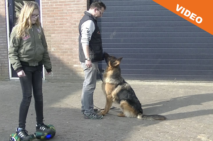 Aandacht vasthouden met afleiding