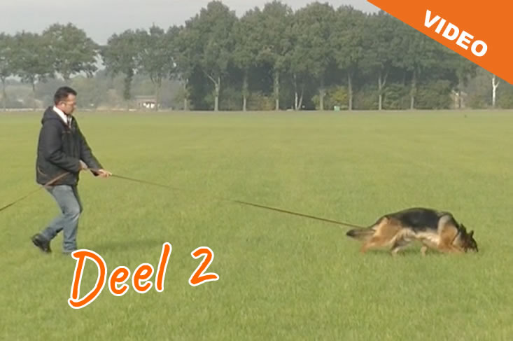 Speuren voorwerp verwijzen