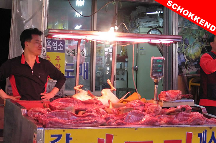 Hondenvlees eten nederland