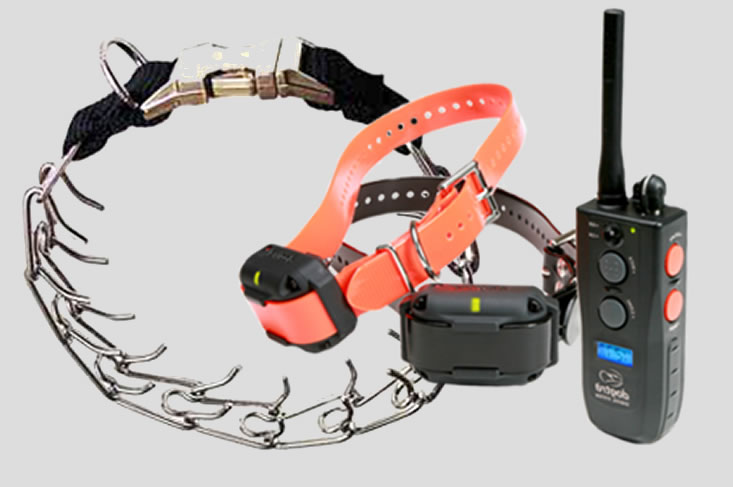 prikband hond verboden