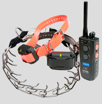 Stroomband hond verboden